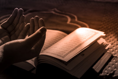 Sahih Muslim Volume 6