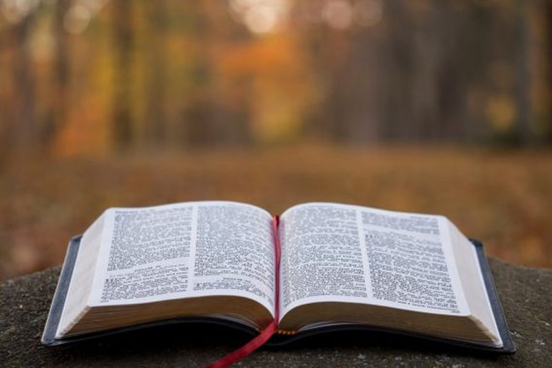 Amazing Ways Reading Can Change Your Life For The Better!