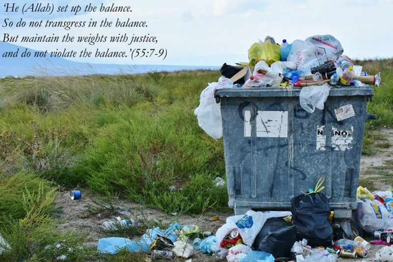 The Fantasy of Growth – Signs of the Earth